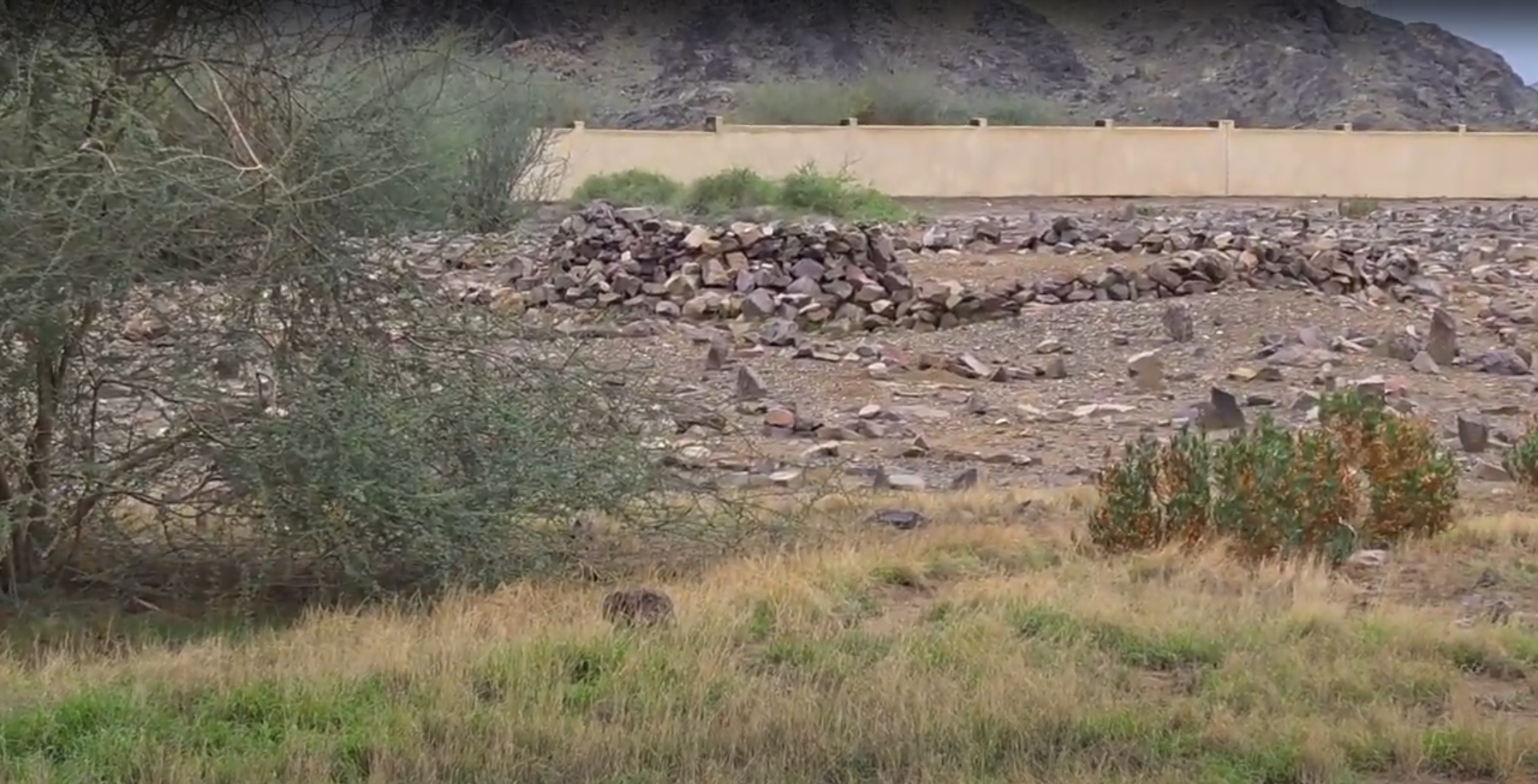 Tombe d'Ubaydah ibn al-Harith — Badr · Visite Arabie